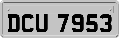 DCU7953