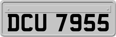 DCU7955