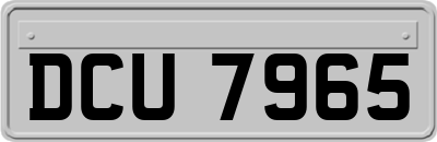 DCU7965
