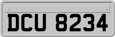 DCU8234