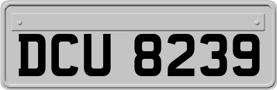 DCU8239