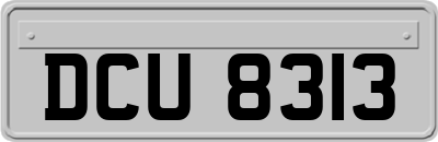 DCU8313