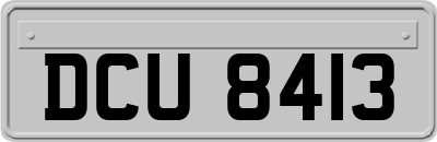 DCU8413