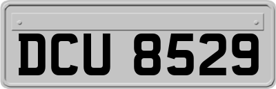 DCU8529