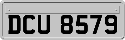 DCU8579
