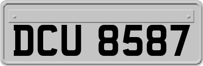 DCU8587