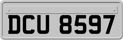 DCU8597