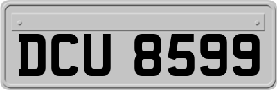 DCU8599