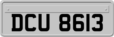 DCU8613