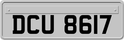 DCU8617