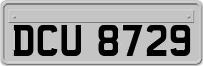 DCU8729