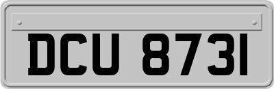 DCU8731