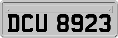 DCU8923