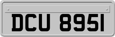 DCU8951