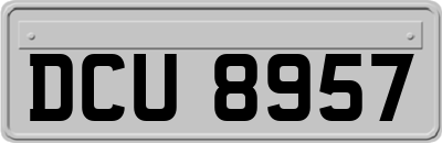 DCU8957