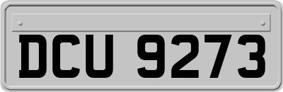 DCU9273