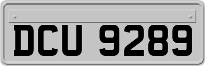 DCU9289