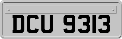DCU9313