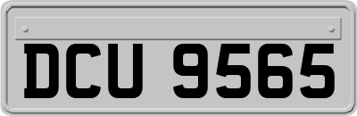 DCU9565