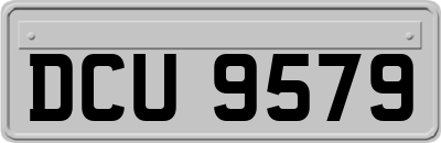 DCU9579