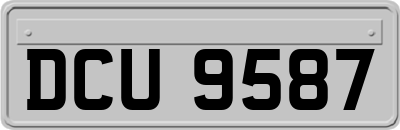 DCU9587