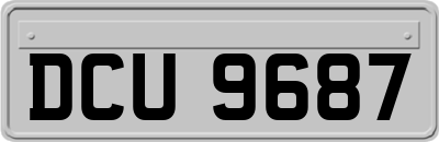 DCU9687