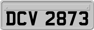 DCV2873