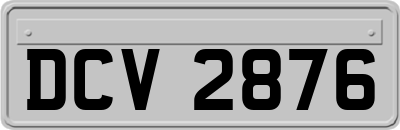 DCV2876