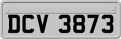 DCV3873