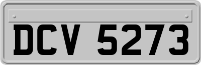 DCV5273