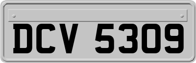DCV5309