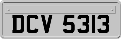 DCV5313