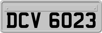 DCV6023