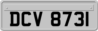 DCV8731