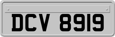DCV8919