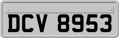 DCV8953