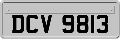 DCV9813