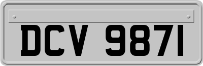 DCV9871