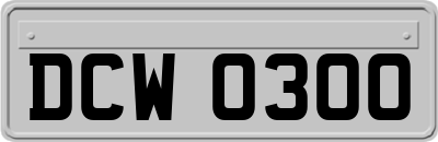 DCW0300