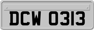 DCW0313