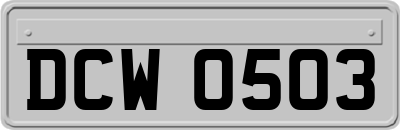DCW0503