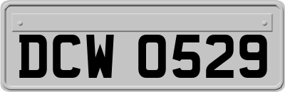 DCW0529