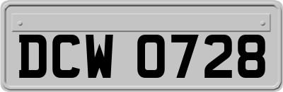 DCW0728
