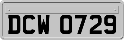DCW0729
