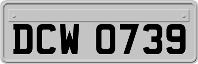 DCW0739