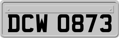 DCW0873