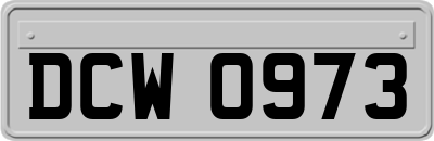 DCW0973