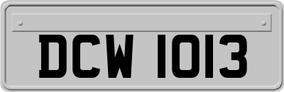 DCW1013