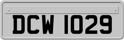 DCW1029