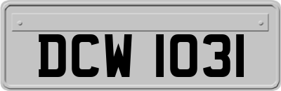 DCW1031